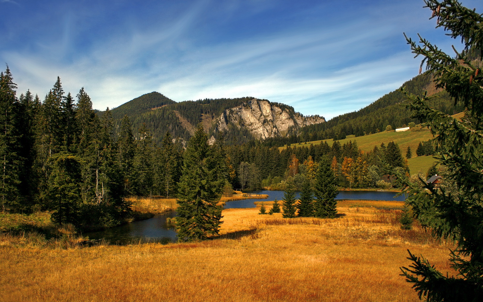 kaiyun体育综合-全国马术障碍赛，骑师挑战极限的精彩瞬间，马术障碍比赛