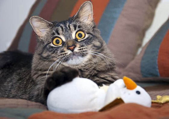 开云中国大陆-全国马拉松大赛，跑者突破自我迎接挑战，2020全国马拉松