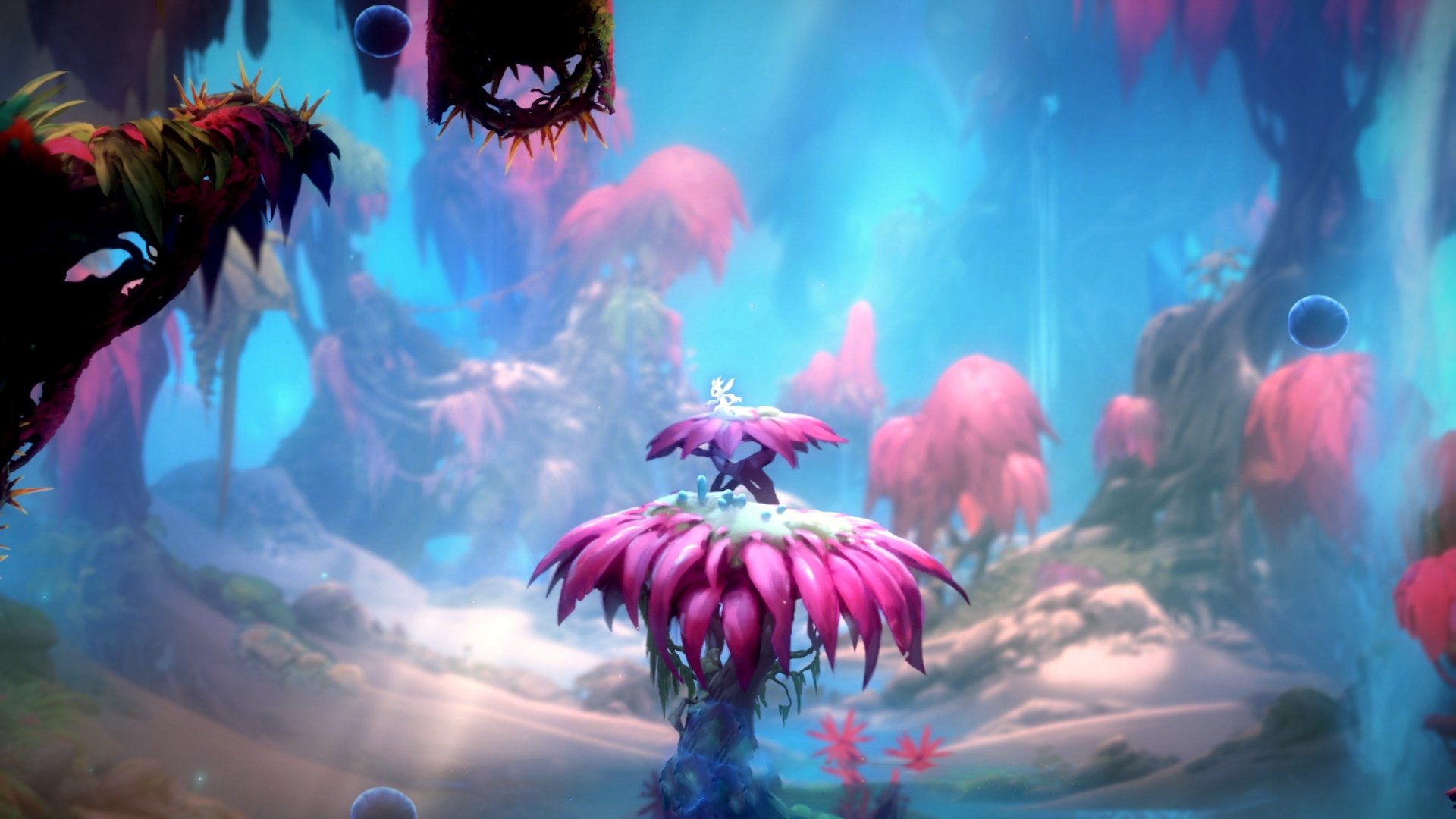 全国马拉松大赛,跑者突破自我迎接挑战,2020全国马拉松