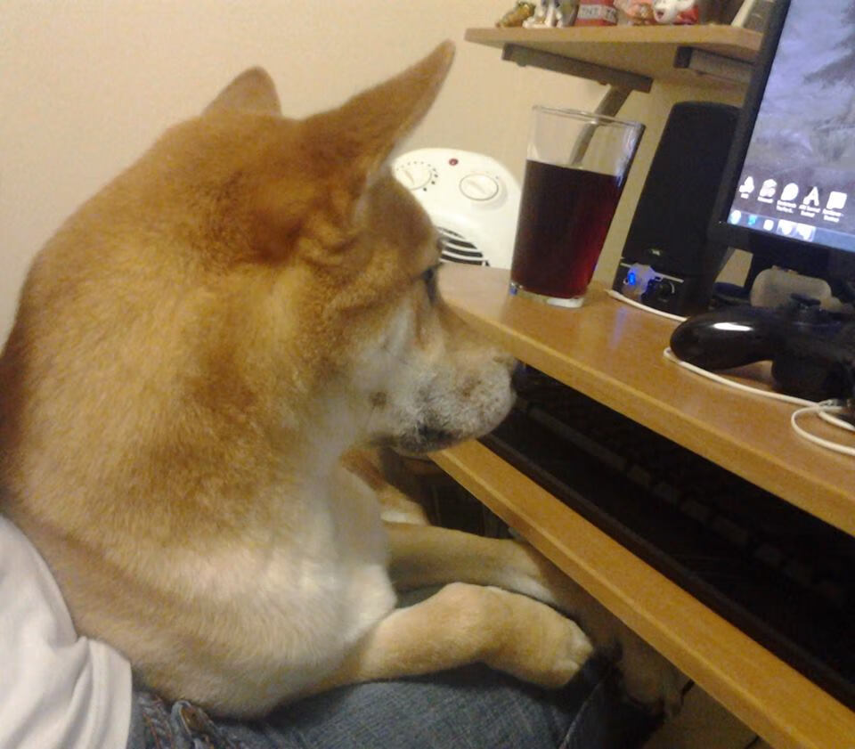 巴西男篮在巴黎奥运会小组赛中取得首胜，巴西男篮落选赛