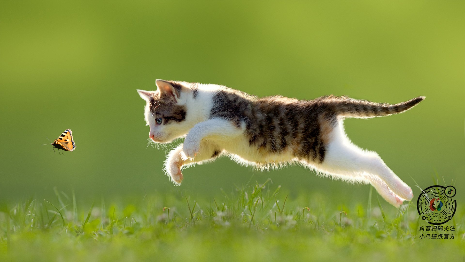 kaiyun体育综合-篮球场馆服务标准体系逐步完善，篮球场馆服务标准体系逐步完善的原因