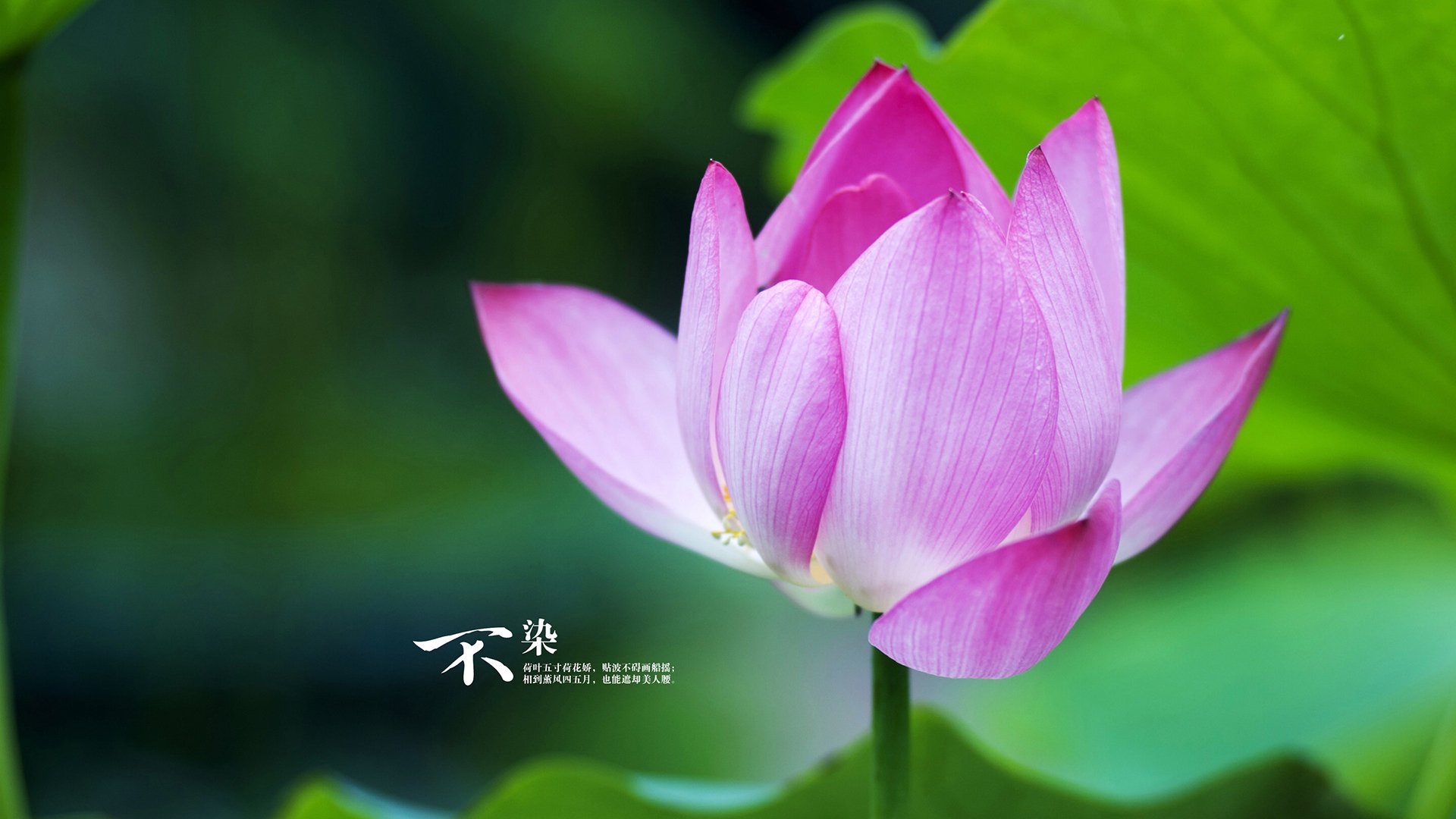 青少年“极限篮球”挑战赛在重庆精彩启幕，追求极致激情，重庆青少年篮球比赛