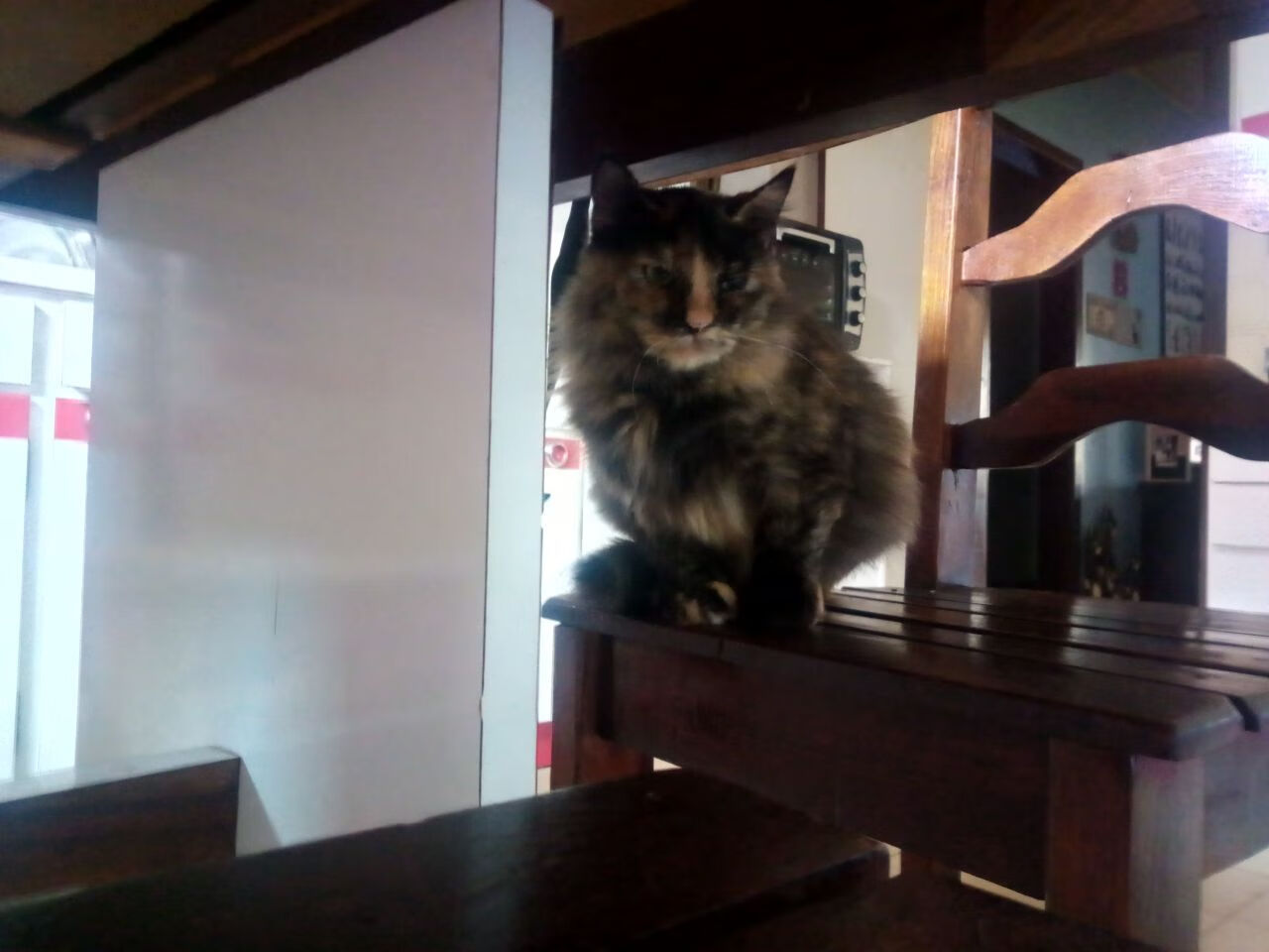 马龙率队夺男团金牌，坦言这是最后一次亚运会，马龙奥运亚军