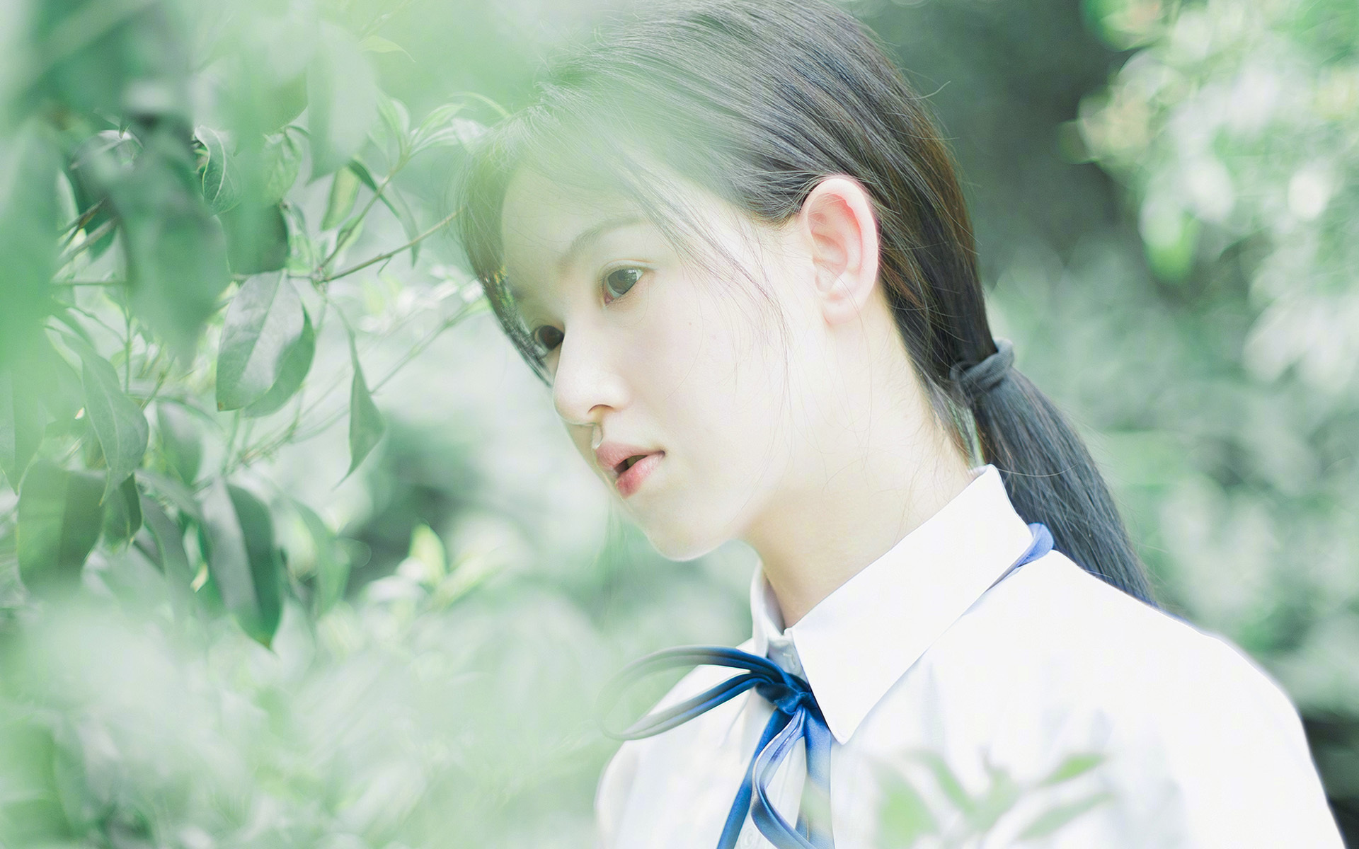 kaiyun官方网站-TL战术重构，中野成关键，中野最能打的纵队