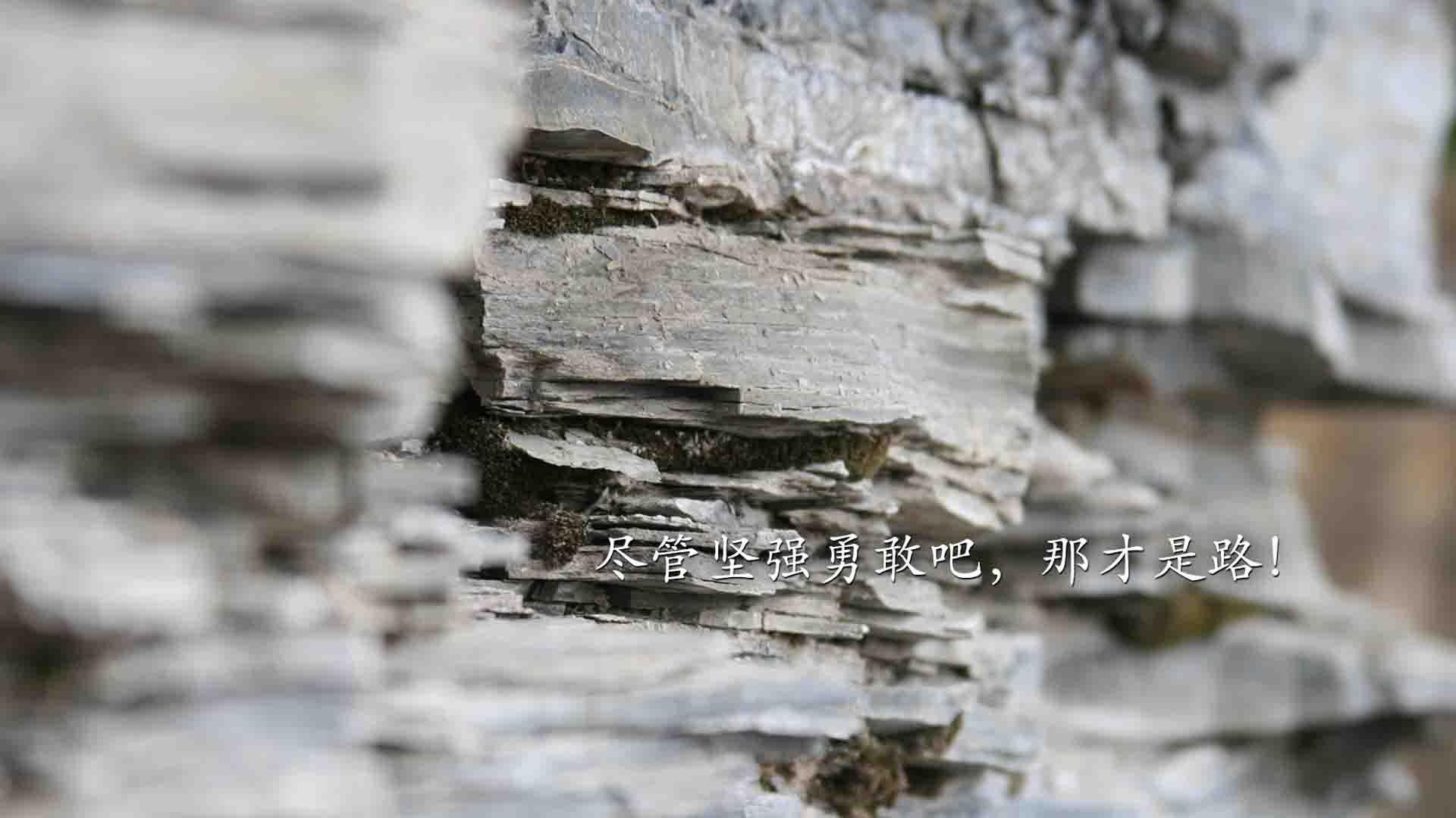 kaiyun体育app-伊朗队雪地滑跪庆祝进球，冻掉了膝盖套，伊朗摔跤手