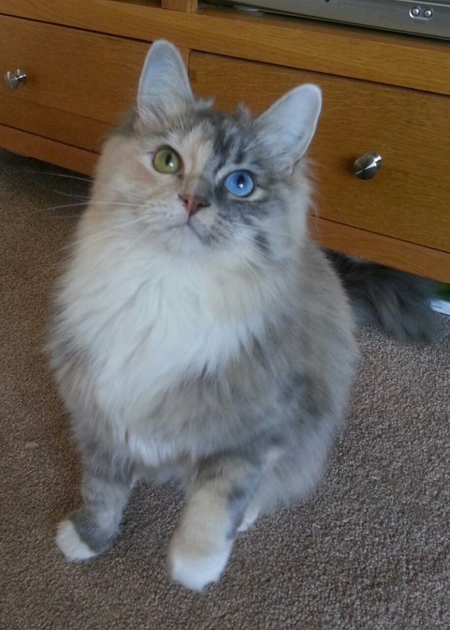 奥格斯堡球员表现出色，以出色发挥赢得比赛，奥格斯堡vs