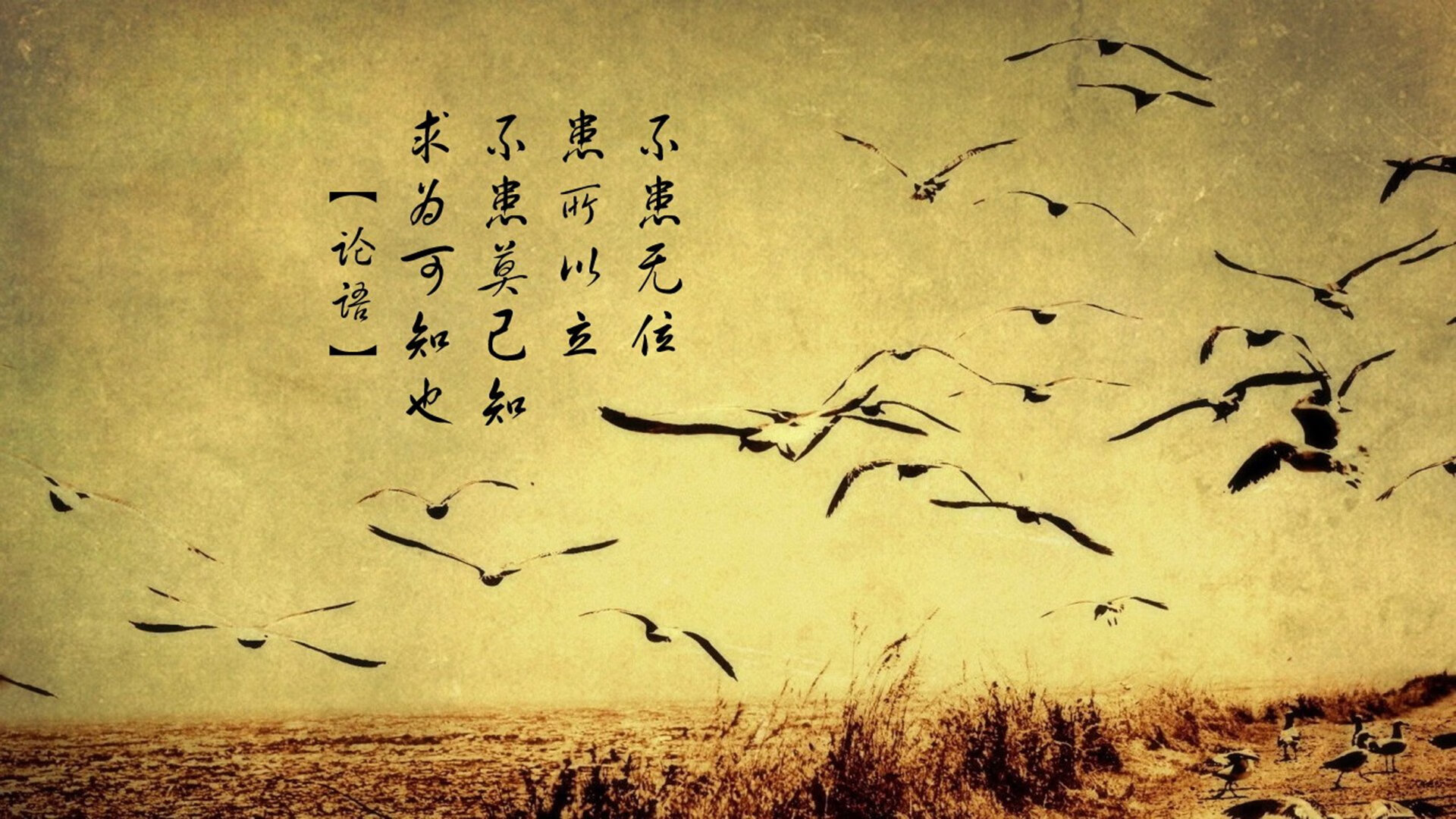 巴萨是否该重新审视控球战术的效率，巴萨回应