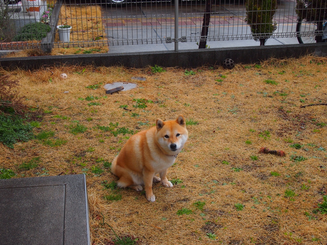 欧洲足球联赛竞技激烈,球员冲刺胜利舞台,欧洲著名足球比赛