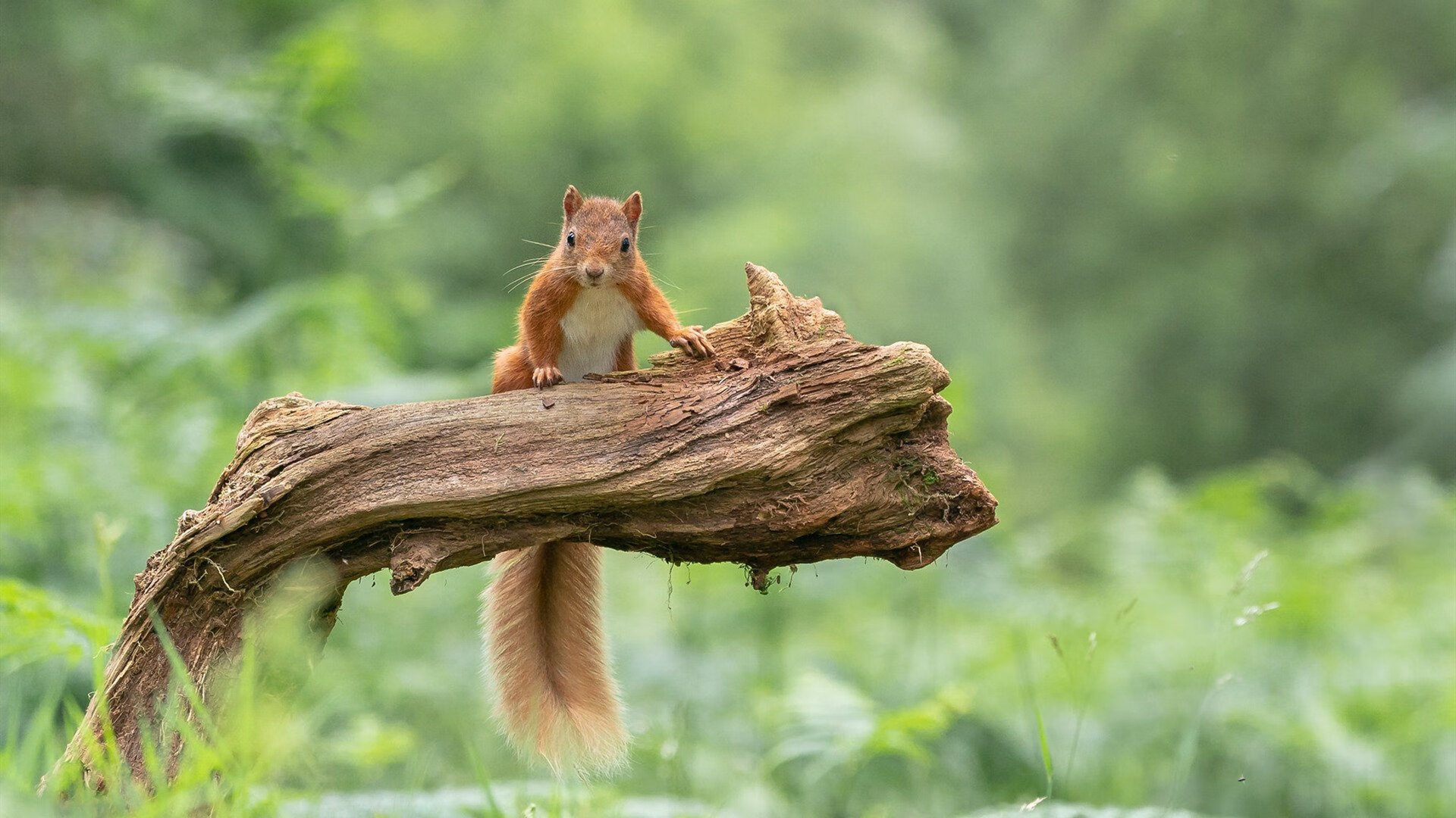 开云·体育官网APP下载-欧洲劲旅备战亚洲对手，决胜之战即将打响，欧洲劲旅有哪些球队