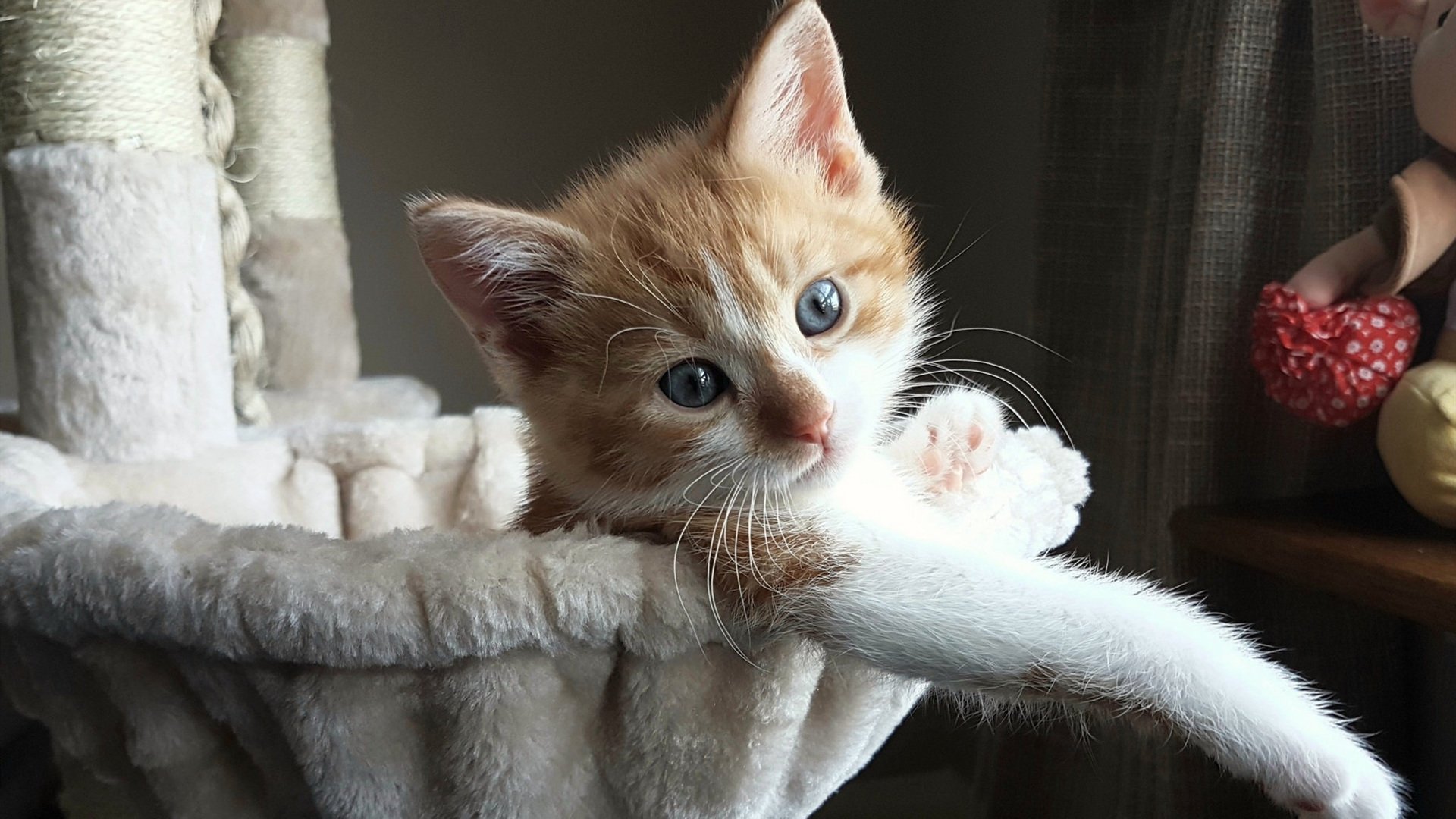 浙江稠州连胜终结，需调整状态备战后续比赛，2020浙江稠州队比赛录像回放