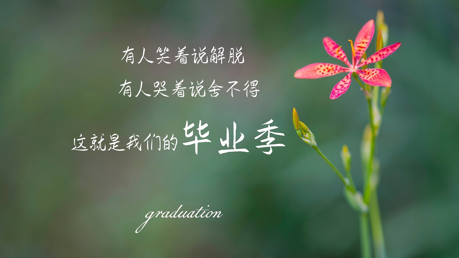 瑞士马术队在巴黎奥运会三项赛中获得第五名,表现出色。,瑞士比赛项目