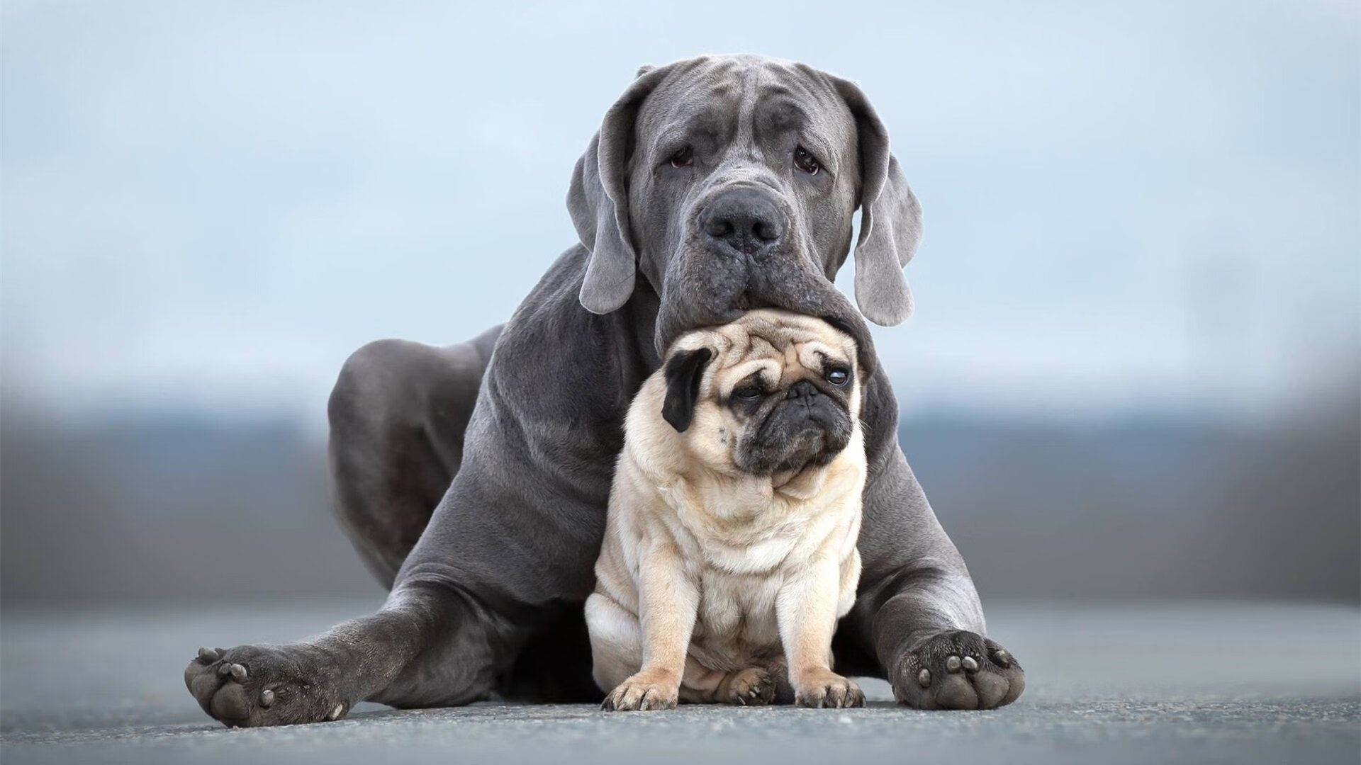 雷恩泰前锋梅开二度,率队战胜劲旅取得胜利,雷恩vs梅斯比分预测