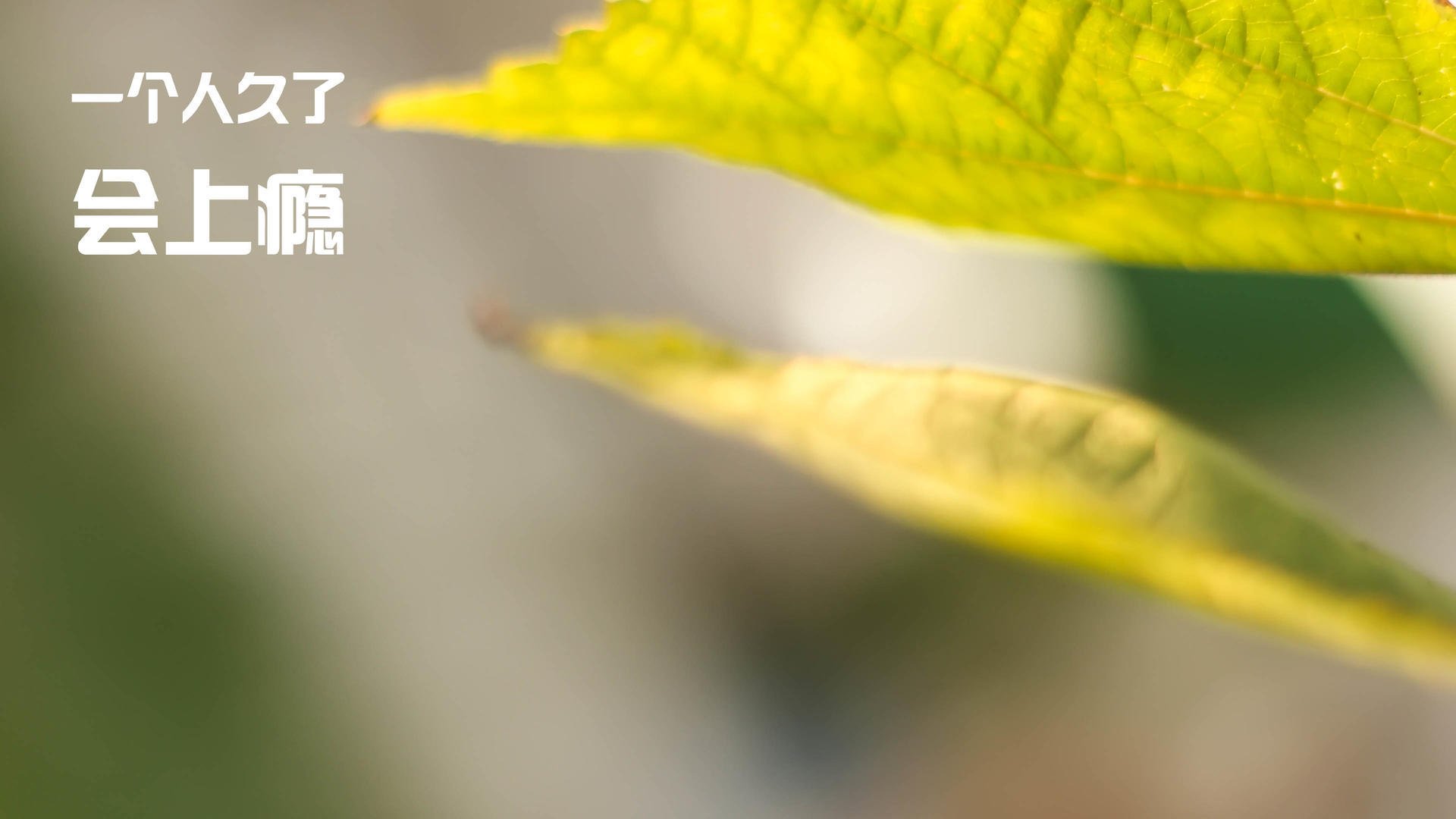 kaiyun官方网站-青海要全力以赴面对辽宁队的考验，团结奋进，辽宁帮扶青海