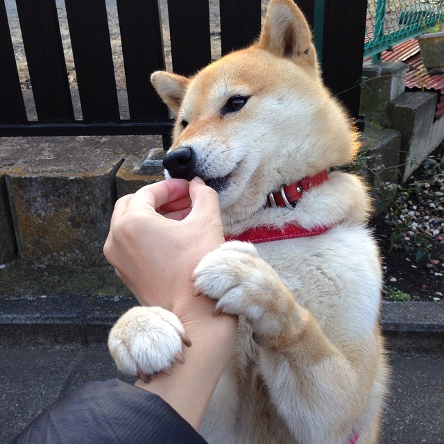 kaiyun体育app-马略卡是否能提升客场抢分能力，马略卡攻略