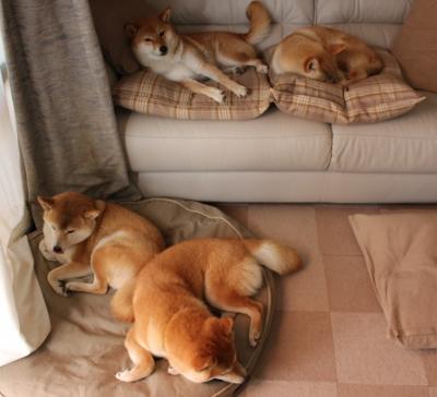 世界大学生篮球联赛中国大学表现出色，世界大学生篮球比赛