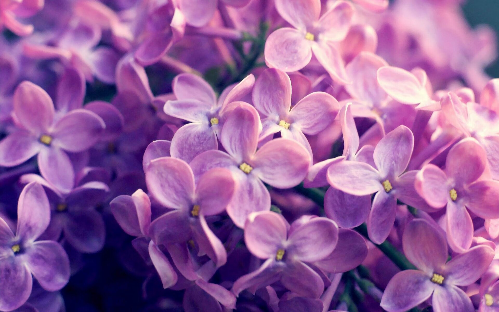 五大联赛常规时间进球总数是否在赛季后期下降,五大联赛赛季最多进球