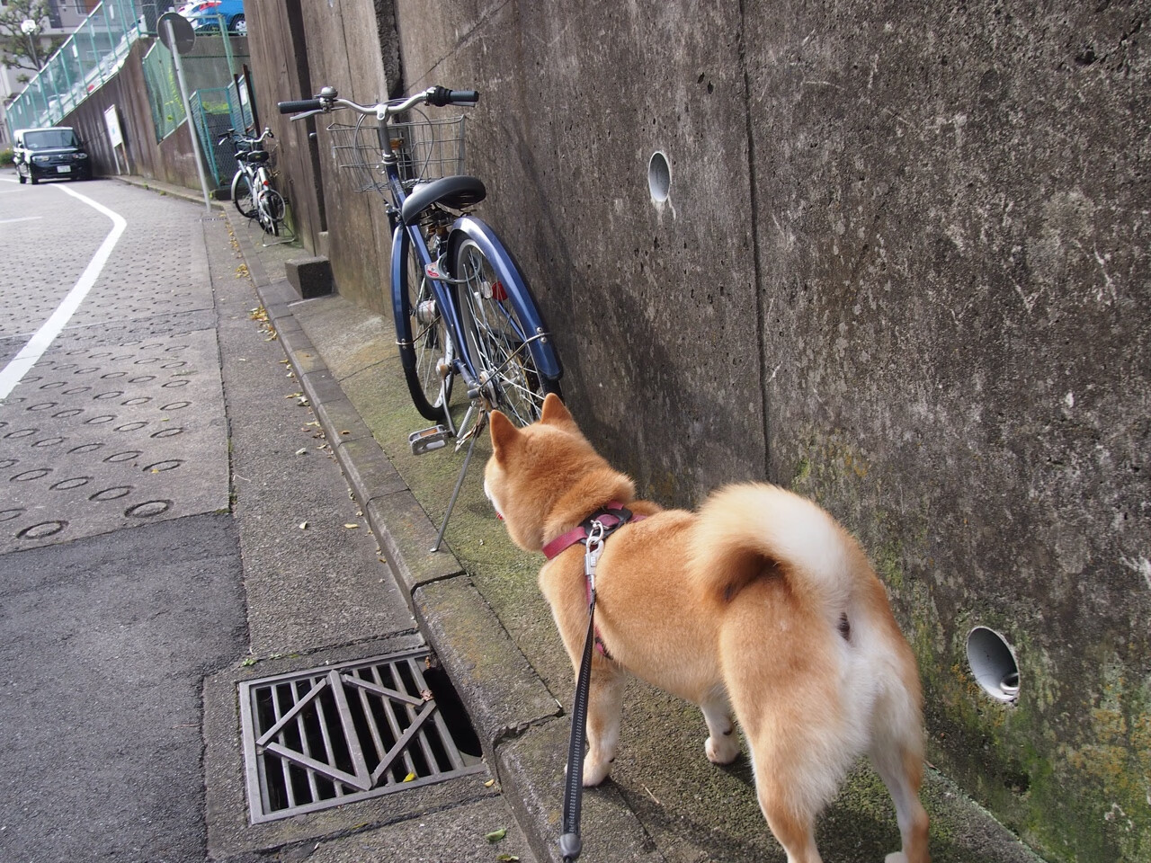 转换进攻中传球优先还是持球推进更有效,足球转移进攻