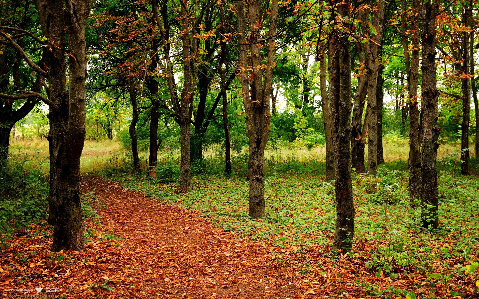 开云·Kaiyun网页版-公牛内线球员训练中展示极佳爆发力，公牛的球员