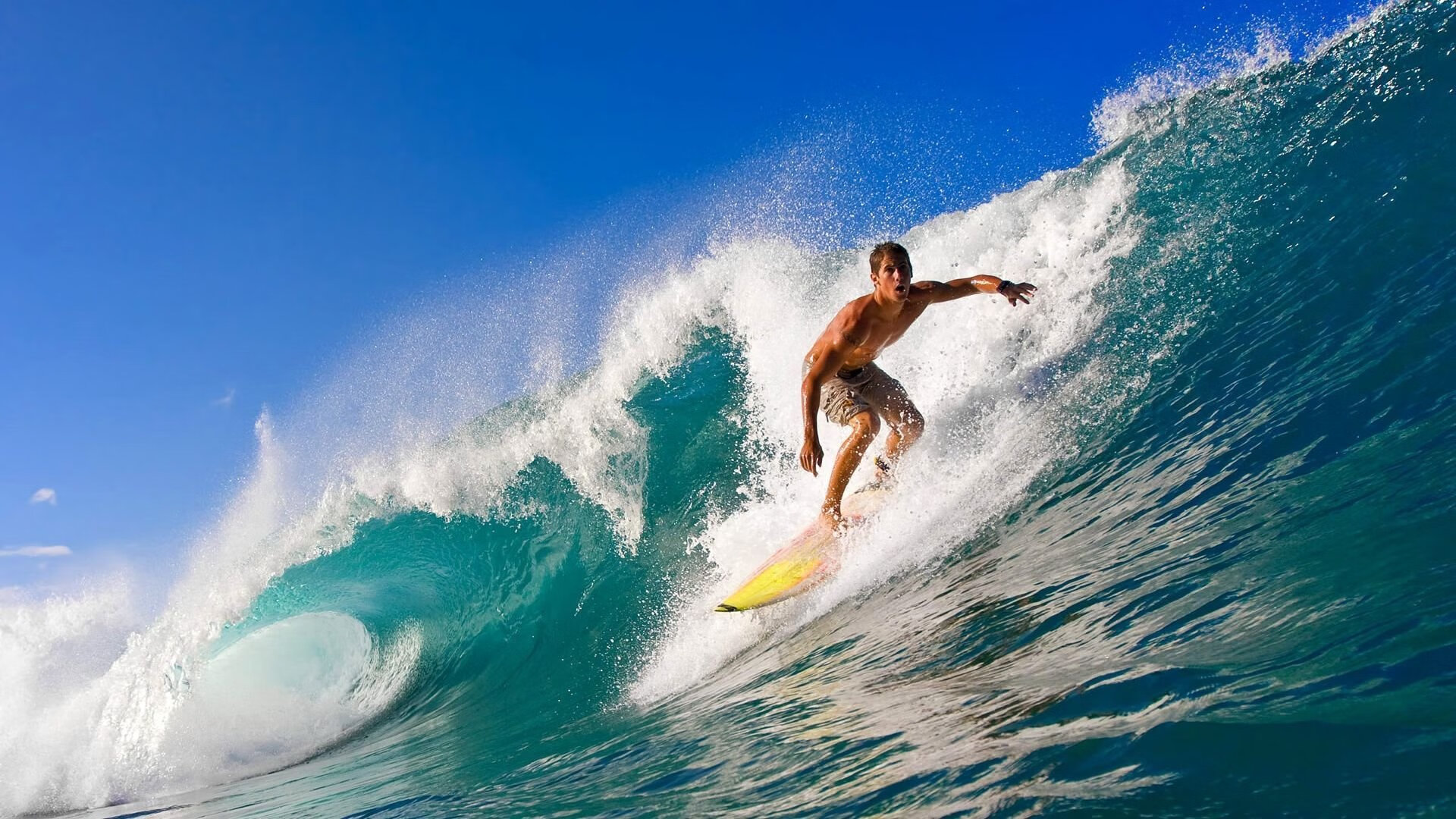 哈伦蝶泳决赛成新星展示舞台