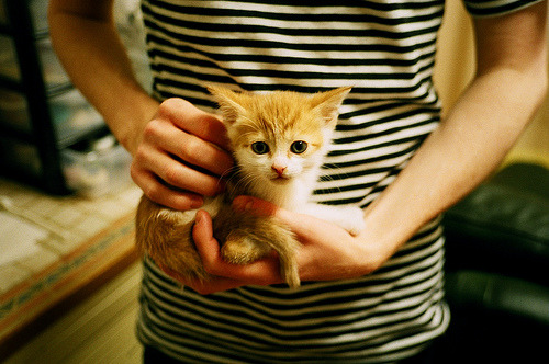 kaiyun开云·官方网站-自由泳接力赛希腊力压强敌，自由泳接力比赛