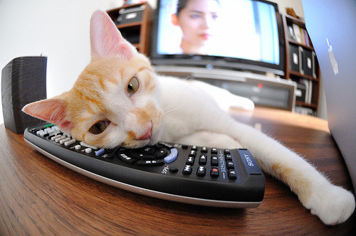 开云中国大陆-西甲传世经典：那些让人久久难忘的瞬间，19992000西甲